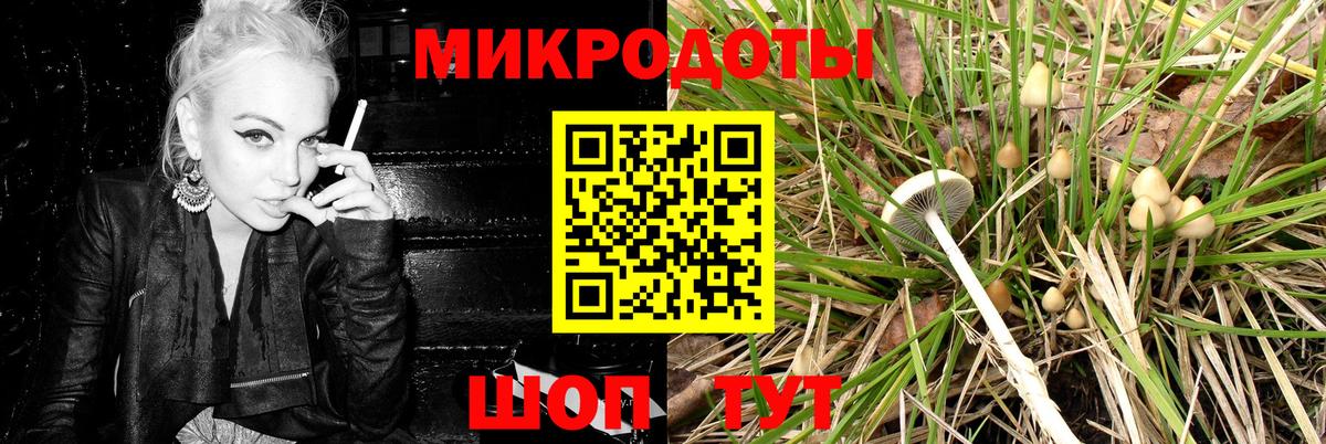 Псилоцибиновые грибы Psilocybe Зеленодольск